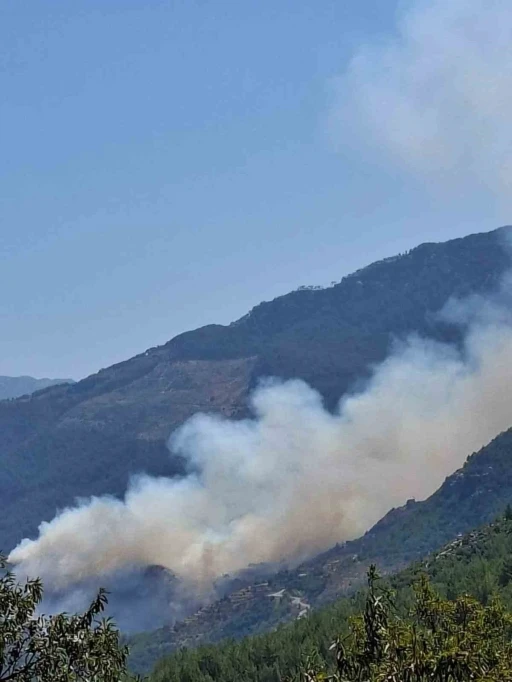 Gazipaşa’da ormanlık alanda yangın
