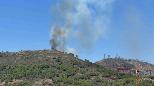 Gazipaşa’da ormanlık alandaki yangın kontrol altına alındı
