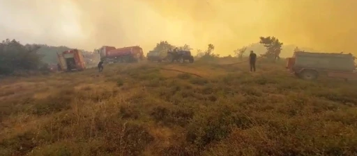 Gebze’deki orman yangınını söndürme çalışmaları sürüyor
