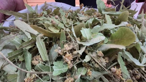 Geçen sene altınla yarışıyordu, bu yıl fiyatı düştü
