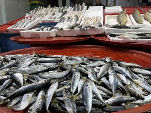 Geciken kış Konya&rsquo;da balığı da vurdu
