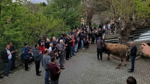 Ge&ccedil;mişten g&uuml;n&uuml;m&uuml;ze: Kemaliye&rsquo;de ş&uuml;k&uuml;r kurbanı
