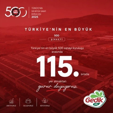 Gedik Pili&ccedil; devler liginde 115. sırada yer aldı
