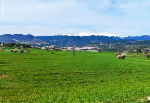 Gediz&rsquo;de bahar aylarının getirdiği g&uuml;zellik b&uuml;y&uuml;l&uuml;yor
