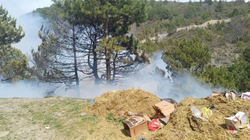 Gediz’de orman yangını kontrol altına alındı
