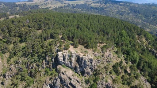 Gelin Uçtu Tabiat Parkı tescillendi
