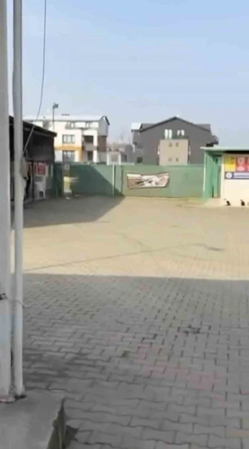 Gemlik Belediyesinin Umurbey&rsquo;deki barınağını &ouml;n&uuml;nde toplanan hayvanseverler i&ccedil;eriye alınmadı

