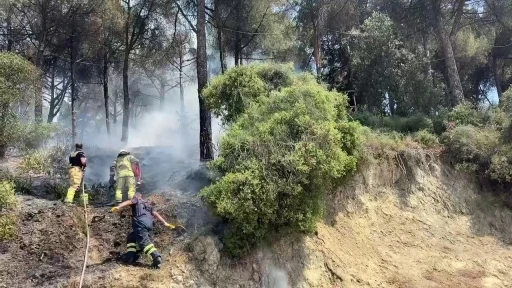 Gemlik’te çamlık alanda çıkan yangın kısa sürede söndürüldü
