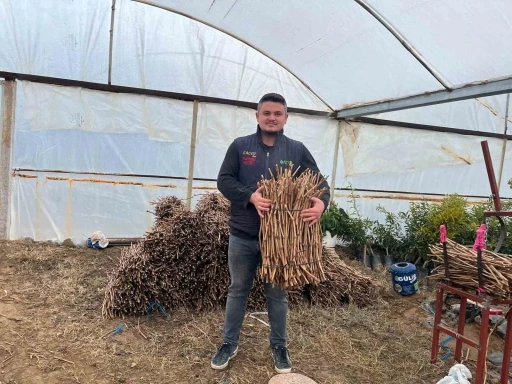 Gen&ccedil; kardeşlerden Sarıg&ouml;l ekonomisine 700 bin fidan hamlesi
