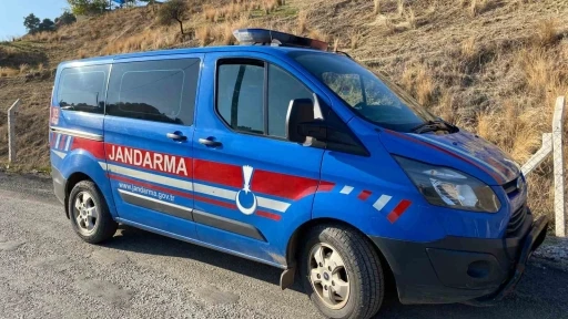 Genç kız hayvan damında ölü bulundu
