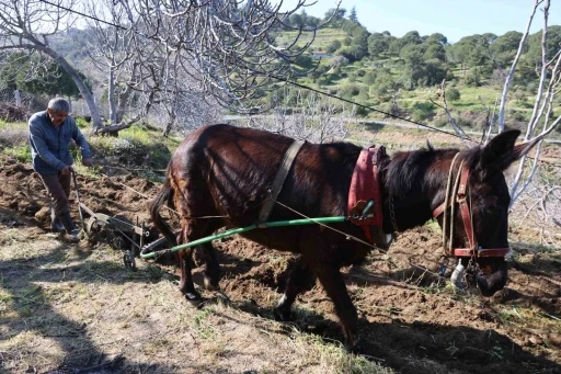 Gen&ccedil;ler k&ouml;y&uuml; terk edince iş yaşlılara kaldı
