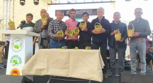 Gezende Erik Festivali’nin 15’incisi gerçekleştirildi

