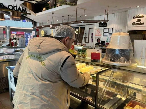 Gıda işletmelerine y&ouml;nelik denetim
