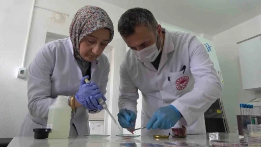 Gıda uzmanından uyarı: &quot;Kurban etini hemen buzdolabına koymayın&quot;
