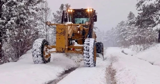 Giresun&rsquo;da 521 k&ouml;y yolu kar nedeniyle ulaşıma kapandı
