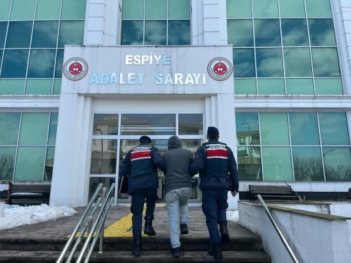 Giresun’da aranan şahıslara yönelik operasyon: 125 kişi yakalandı

