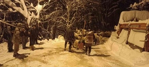 Giresun&rsquo;da &ccedil;ığ: 1 &ouml;l&uuml;
