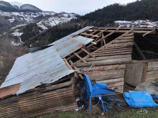 Giresun&rsquo;da fırtınada bazı seralar ve yayla evleri hasar g&ouml;rd&uuml;
