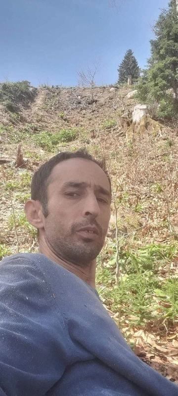Giresun’da kestiği ağacın altında kalan işçi hayatını kaybetti
