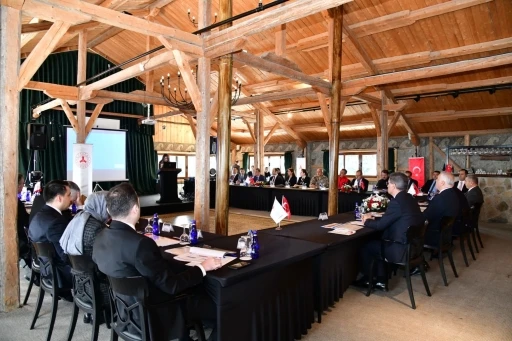 Giresun&rsquo;da "D&uuml;zensiz G&ouml;&ccedil;le M&uuml;cadele Koordinasyon" toplantısı ger&ccedil;ekleştirildi
