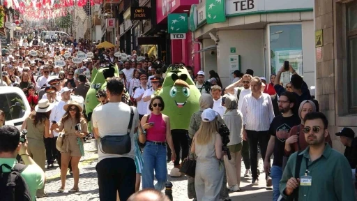 Giresun’da Yeşil Lezzetler Festivali, renkli görüntüleriyle büyük ilgi gördü
