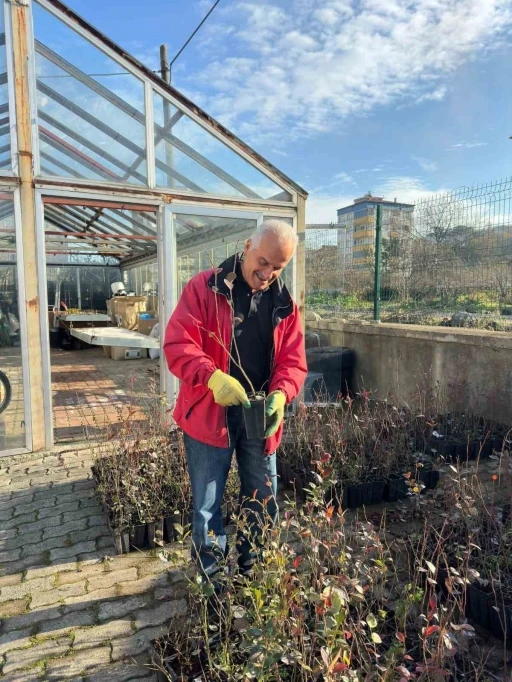 Giresun&rsquo;dan mavi yemiş atağı
