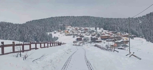 Giresun&rsquo;un yaylalarında kar kalınlığı 1,5 metreyi buldu
