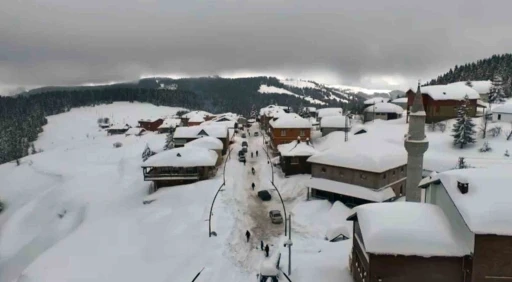 Giresun yaylalarında g&ouml;rsel ş&ouml;len
