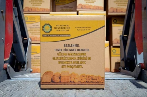 Gl&uuml;tensiz proje b&uuml;y&uuml;yor
