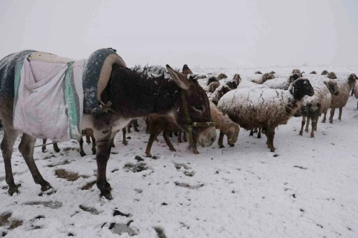 Göçerler kara yaylada yakalandı
