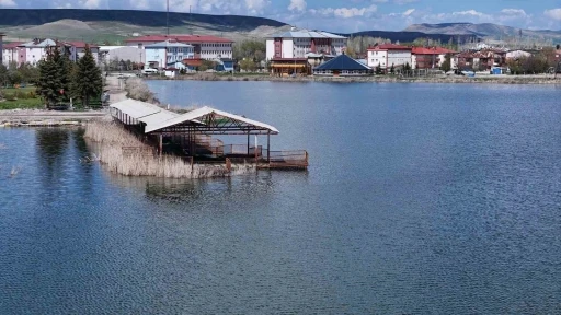 G&ouml;&ccedil;men kuşların durağı kuruma noktasına gelmişti, şimdi ise dolup taştı
