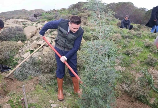 G&ouml;k&ccedil;eada&rsquo;da fidanlar toprakla buluştu
