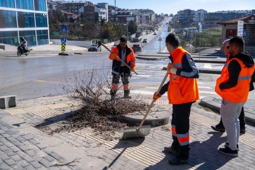 G&ouml;lbaşı i&ccedil;in temizlik seferberliği
