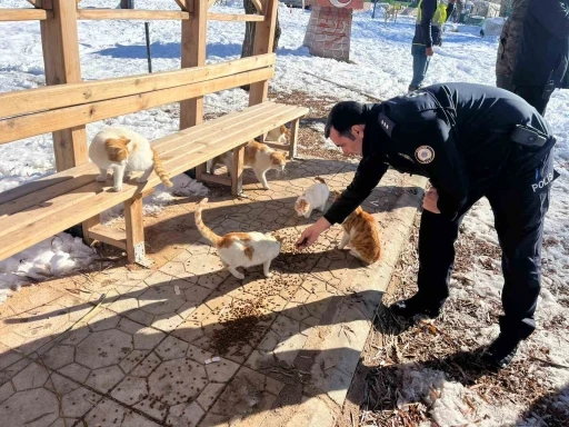 G&ouml;lbaşı il&ccedil;esinde polisler sokak hayvanları i&ccedil;in mama bıraktı
