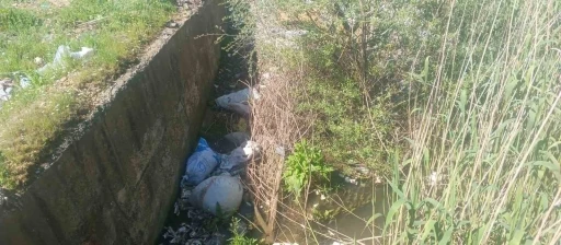 G&ouml;lbaşı&rsquo;nda k&ouml;yl&uuml;ler kanalların ila&ccedil;lanmasını istiyor
