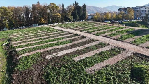 G&ouml;lc&uuml;k&rsquo;e yeni mezarlık alanları hazırlandı

