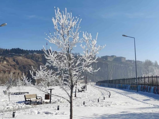 G&ouml;le eksi 16 dereceyi g&ouml;rd&uuml;, ağa&ccedil;lar kırağı tuttu
