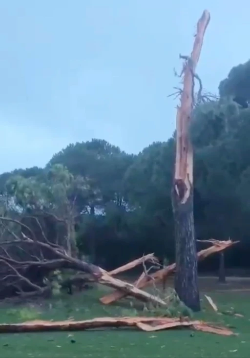 Golf sahasına d&uuml;şen yıldırım ağacı par&ccedil;alara ayırdı
