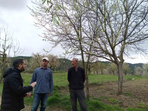 Gölpazarı’nda fenolojik gözlemler ve don riskine karşı önlemler
