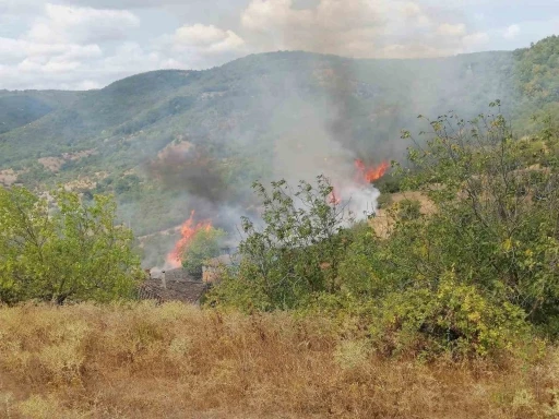 Gönen’de bahçe ve arazi yangını paniğe neden oldu
