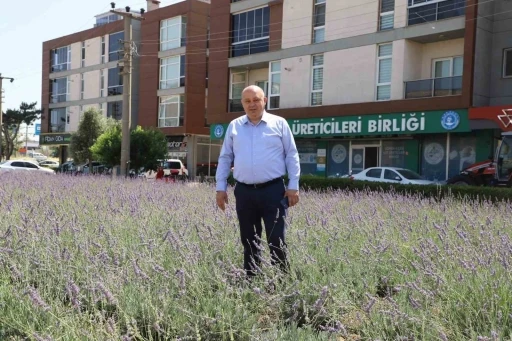 Gönen’de biyogaz tesisine &quot;ÇED olumlu&quot; kararı

