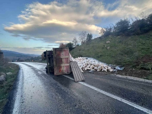 G&ouml;nen-Denizkent yolunda kamyon devrildi
