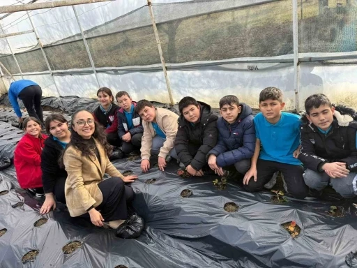 G&ouml;rdes&rsquo;te &ccedil;ilekler engelliler i&ccedil;in yetişecek
