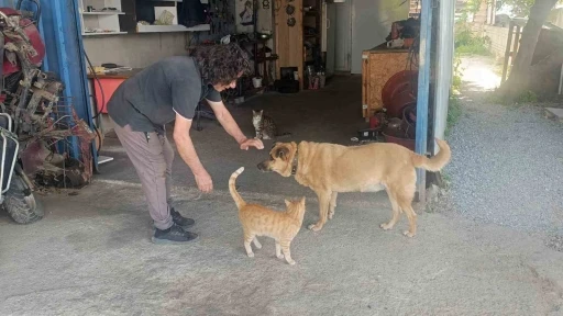 G&ouml;zleri g&ouml;rmeyen k&ouml;peğe 13 yıldır evladı gibi bakıyor

