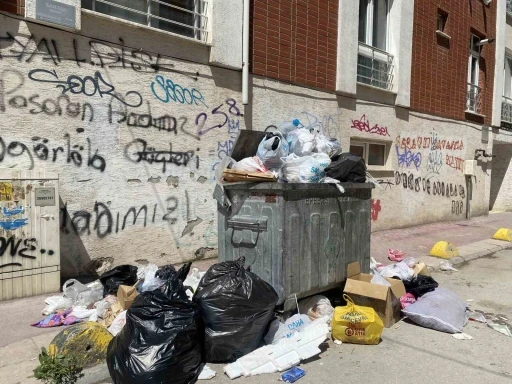 G&uuml;ll&uuml;k Mahallesinde yetersiz &ccedil;&ouml;p konteynırı sebebiyle &ccedil;&ouml;pler yollara taştı
