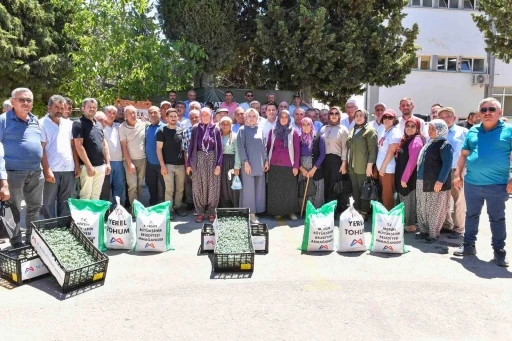 G&uuml;lnarlı &uuml;reticilere fide, ekipman ve sulama desteği
