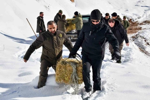 G&uuml;m&uuml;şhane&rsquo;de a&ccedil; kalan yaban hayvanları i&ccedil;in seferberlik
