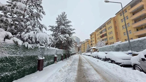 G&uuml;m&uuml;şhane&rsquo;de kar 247 k&ouml;y yolunu ulaşıma kapattı
