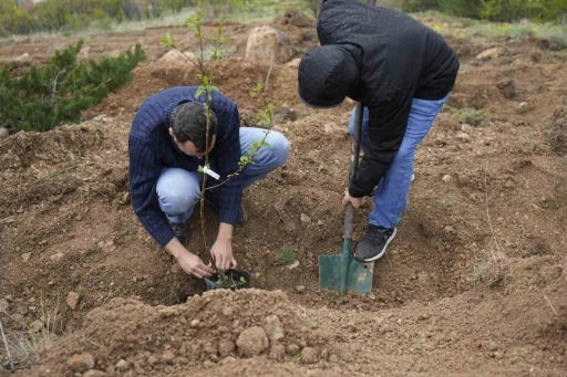 G&uuml;m&uuml;şhane &Uuml;niversitesi&rsquo;nde akademisyenler i&ccedil;in "meyve bah&ccedil;esi" oluşturuldu
