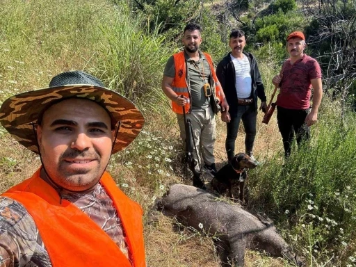 Gündoğmuş’ta domuz sürek avı düzenlendi
